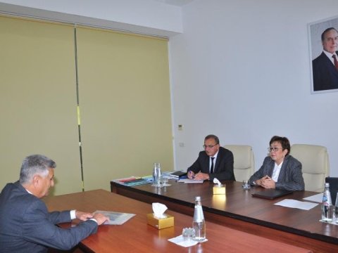 Məleykə Abbaszadə Sabirabad rayonunda vətəndaşları qəbul edib