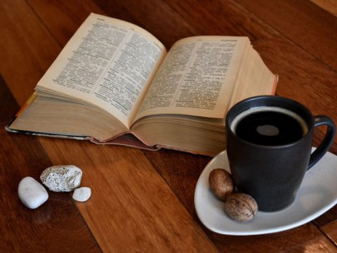 İlin sözü seçildi – Ekologiyaya üstünlük verildi
