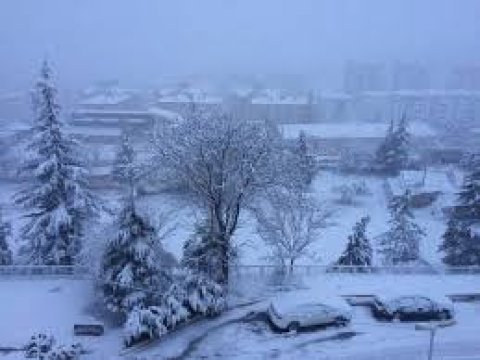 Güclü qar səbəbindən məktəblər bağlandı