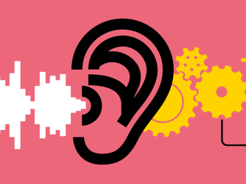 Abituriyentlərin nəzərinə! - Dinləmə mətnlərini yazılı formada buradan oxuyun  