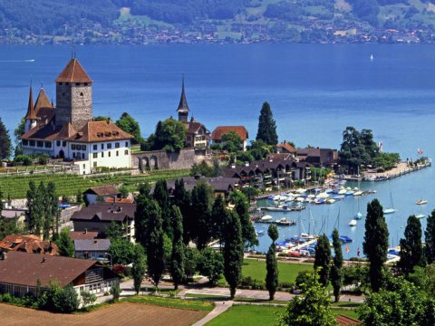 İsveçrədə pulsuz təhsil almaq istəyənlərin NƏZƏRİNƏ