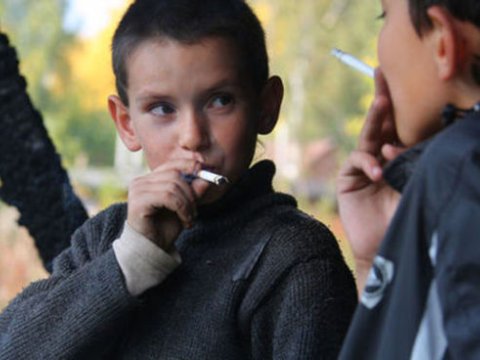 Məktəbdə təsadüfən keçirilən kinoloji sərgi azyaşlı narkomanları üzə çıxardı