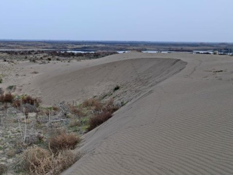 Mil düzü təpələrində səhralaşma
