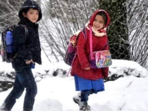 Məktəblərdə tətil elan edildi - Səbəb