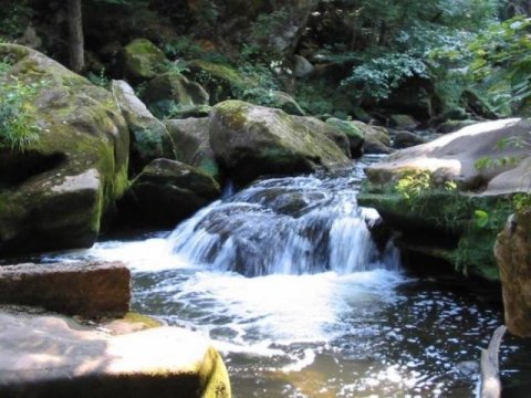 Dağ çayları tədqiq olunur