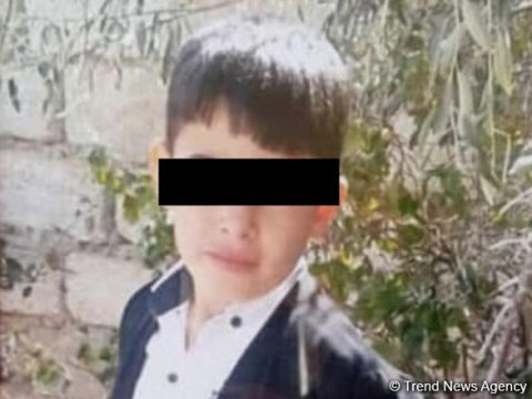 Bakıda it dişləyən 4-cü sinif şagirdi öldü 