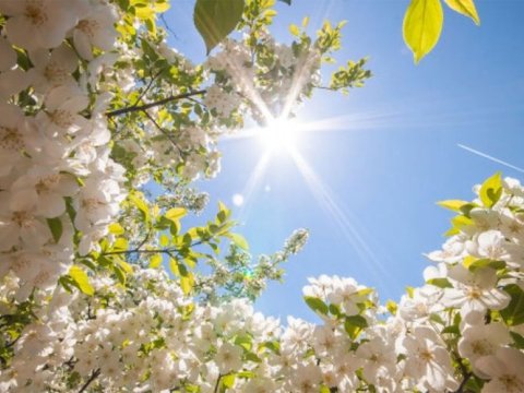  Novruz çərşənbələrinin tarixləri açıqlandı