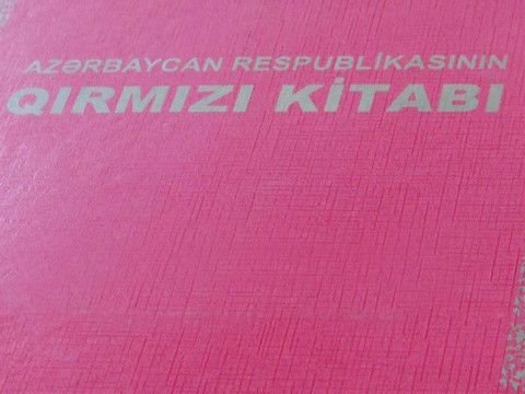 “Qırmızı Kitab”ın III nəşri hazırlanır