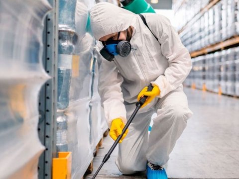 Bakıda orta məktəblərin və bağçaların  dezinfeksiyasına başlanılıb 