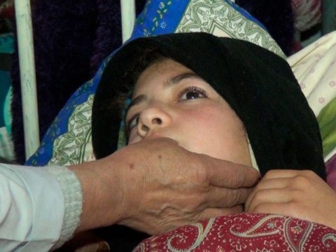 Azərbaycanda məktəblərdə yeni virus yayılıb - FOTO