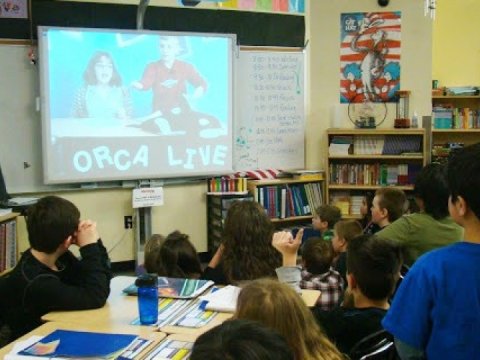 “Teledərslər zamanı aşağı sinifdə oxuyanlara mütləq yardım edilməlidir”-SƏBƏB