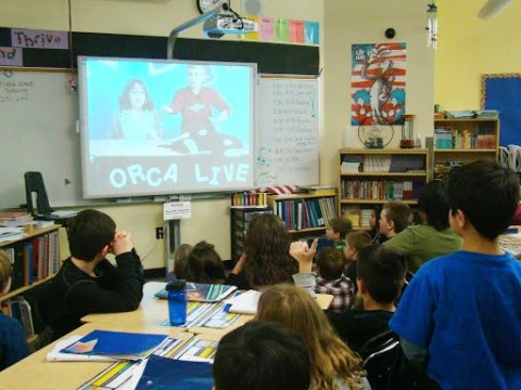  Şagirdlərin nəzərinə - Mədəniyyət kanalında teledərslər başladı