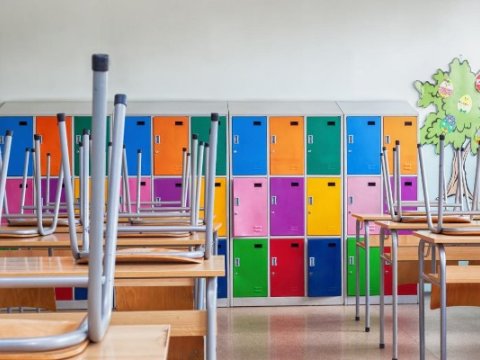 Daha bir ölkədə məktəblər bağlanır