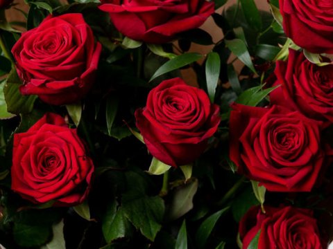 DİM 11 min manatlıq gül almasına aydınlıq gətirdi - RƏSMİ