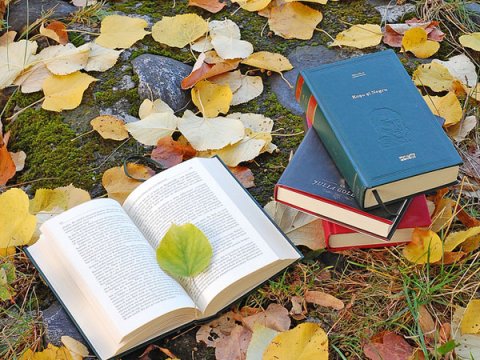 Kitab oxumağın bizə bəxş etdiyi 13 möhtəşəm fayda