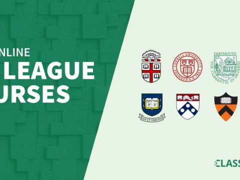 “Dünyanın bu məşhur universitetlərində pulsuz və onlayn kurslar keçə bilərsiniz” – Deputatdan vacib təklif