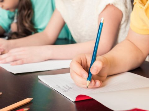 Təhsildə taksonomiyalar nə üçün lazımdır?-İZAH