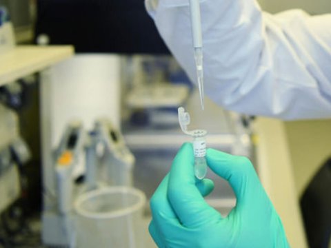 Koronavirus sentyabrdan yayılmağa başlayıb - İDDİA