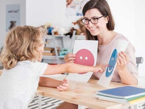 Dövlət Komitəsi: Məktəb psixoloqlarının peşəkarlığının artırılmasına ehtiyac var