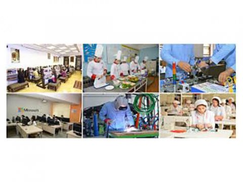 Subbakalavr peşə-ixtisas dərəcəsi alanlar orta ixtisas təhsilini bitirən subbakalavrlara bərabər tutulacaq  
