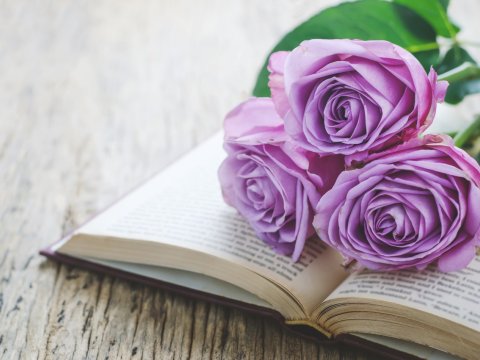 Şiddətlə savaşan rəng, Baker Miller çəhrayısı nədir?