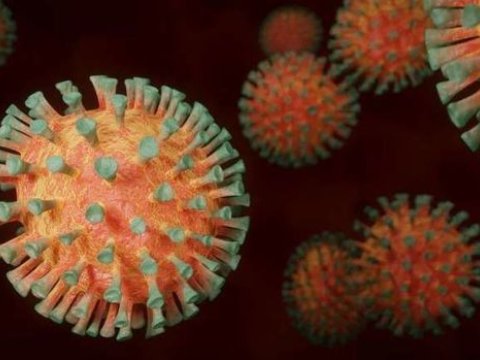 Alimlər: Koronavirus şizofreniyaya yol aça bilir