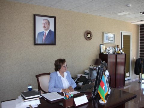 DİM-in sədri Məleykə Abbaszadə və Britaniya Şurası nümayəndələri arasında onlayn konfrans keçirilib