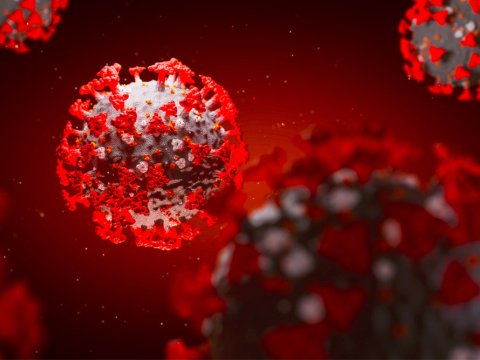 Koronavirus ilk dəfə burada yaranıb – Alimlər AÇIQLADI
