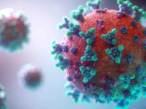 AMEA-nın təklifləri COVID-19 üçün müalicə protokoluna daxil edildi