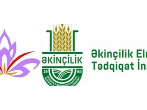 AMEA-da elmi-tədqiqat işləri aparılıb