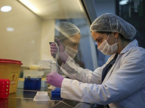 Bakteriofaqların genomunda CRISPR/Cas9 redaktorunun “virus” versiyası aşkarlanıb