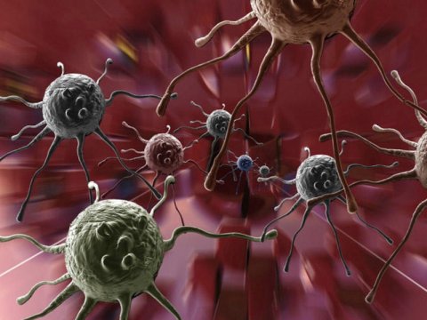 Xərçəngə qarşı yeni mübarizə üsulu tapıldı