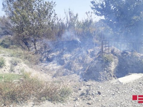 Ucarda məktəbin həyətyanı sahəsində yanğın olub