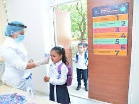 Tədrisin durumunu Operativ Qərargah və TƏBİB müəyyən edəcək –  Nazirliyin direktor müavini