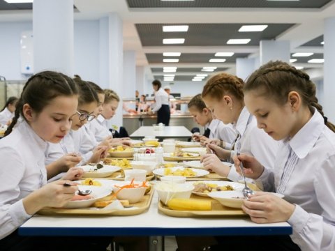 Məktəblilər üçün qidalanma çantası hazırlayarkən nəyə diqqət edilməlidir?  