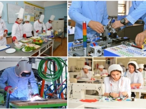 Azərbaycanda 110 peşə təhsili müəssisəsi fəaliyyət göstərir
