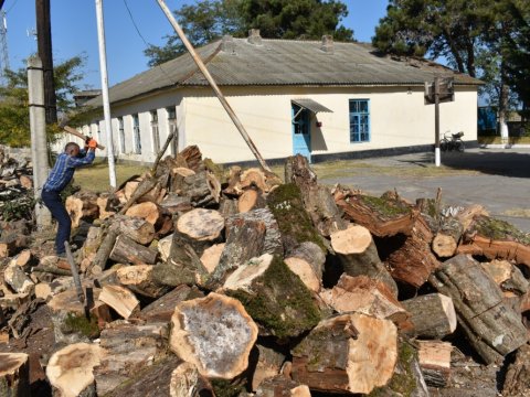 Şimal rayonlarında məktəblərin qızdırılması üçün odun ayrılıb-FOTO