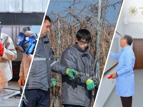 Peşə təhsil pilləsinə müəllimlərin işə qəbulunun müsahibə mərhələsi yekunlaşdı  