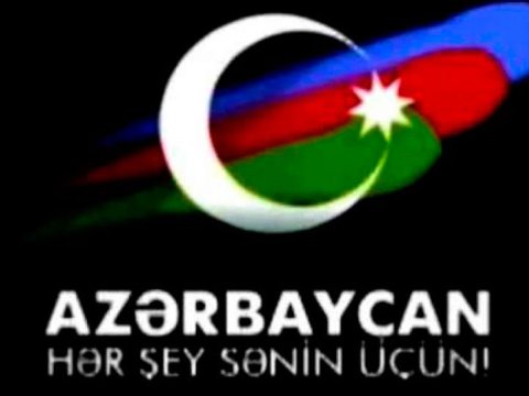 Bu Qələbə uğurlu siyasətin nəticəsidir - Professor    
