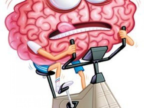 Beyinin sürəti nə qədərdir?