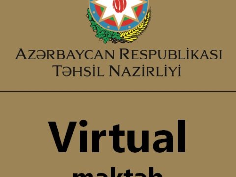 Virtual məktəb mütəxəssisi bədbin danışdı: 