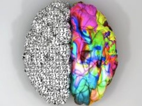 Beyninizin hansı tərəfini istifadə edirsiniz ? Beyninizi gücləndirmənin rahat yolları..