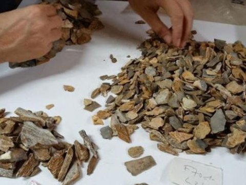 Fransada 41 000 il əvvələ aid iki yaşlı neandertal qalıqları tapılıb