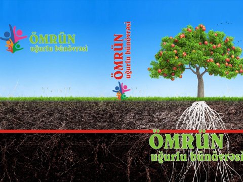 AzEdu.az-dan tədrislə bağlı vacib kitab- “Ömrün uğurlu bünörvəsi” –PDF-i portaldan yükləyin