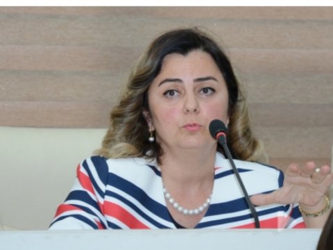 UNEC-in müəllimi xarici universitetdə mühazirə keçib  