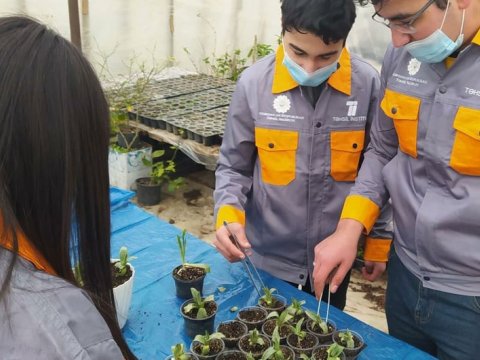  Bakıda məktəblərdən birində xarıbülbül yetişdirilir  
