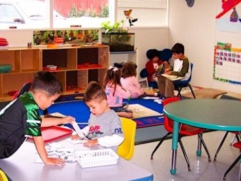 Bağçalar bağlanır, bağlanmır? - Bakı Meriyası qərarını ELAN EDƏCƏK  