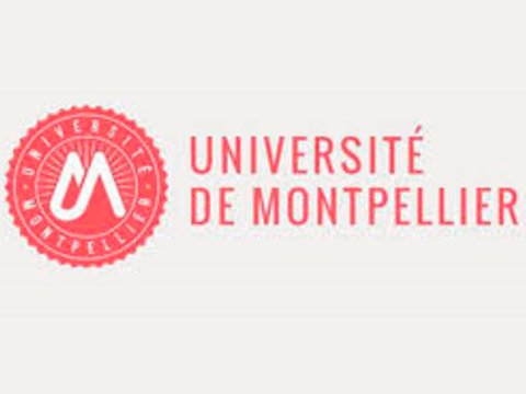 Fransanın Montpellier Universiteti ilə ikili diplom proqramına qəbul davam edir  