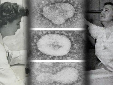 Koronavirusu  56 il öncə  kəşf edən elm insanı –Heç kim ona inanmadı-FOTO  