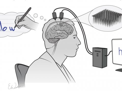 Fikrin gücü ilə mətn yığılması üçün interfeys yaradılıb  